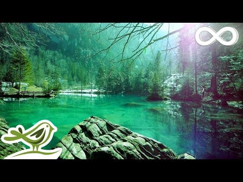 Relaxing Piano Music 🎹